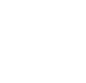 DPR RI DPR RI